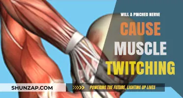 Pinched Nerve and Muscle Twitching: Understanding the Connection and Symptoms