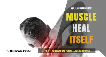 Can a Pulled Back Muscle Heal on Its Own? Recovery Insights