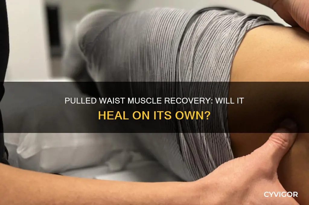 will a pulled muscle around waistline resolve