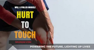 Does a Pulled Muscle Hurt to Touch? Understanding Your Pain