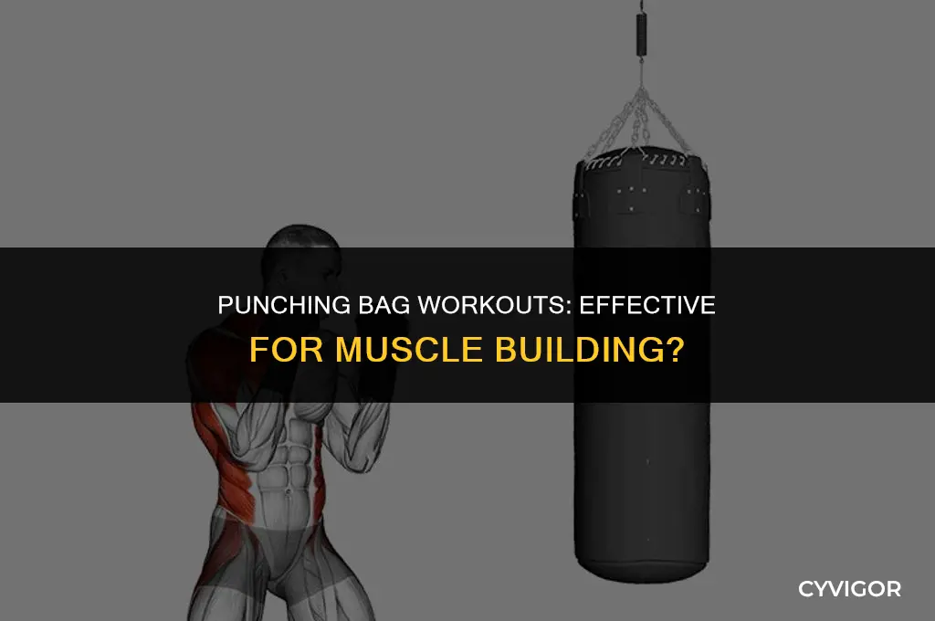 will a punching bag build muscle