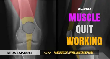 Why Your Quad Muscle Stops Functioning and How to Fix It