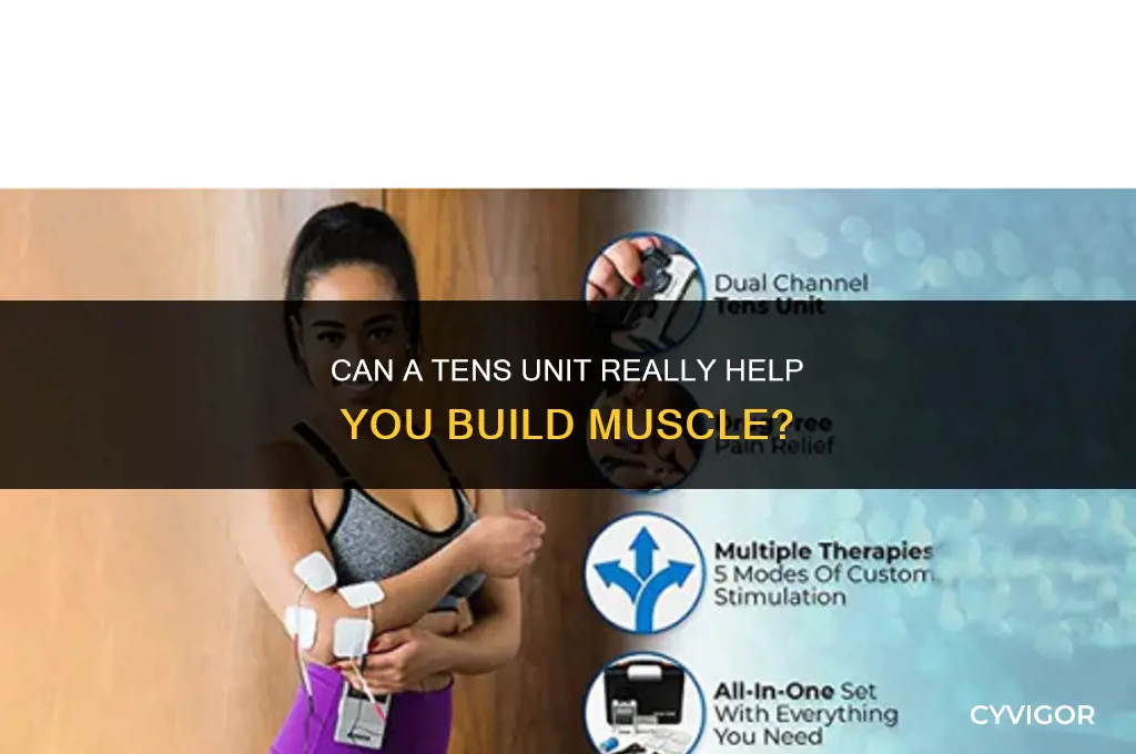 will a tens unit help build muscle