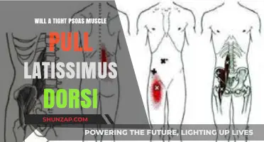 Tight Psoas and Latissimus Dorsi: Understanding Muscle Connections and Pain