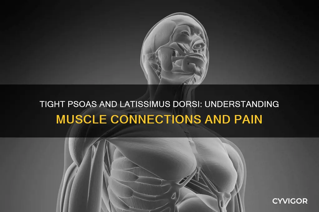 will a tight psoas muscle pull latissimus dorsi