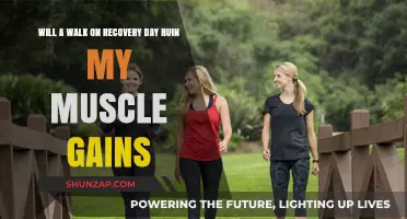 Recovery Day Walks: Do They Impact Muscle Gains?