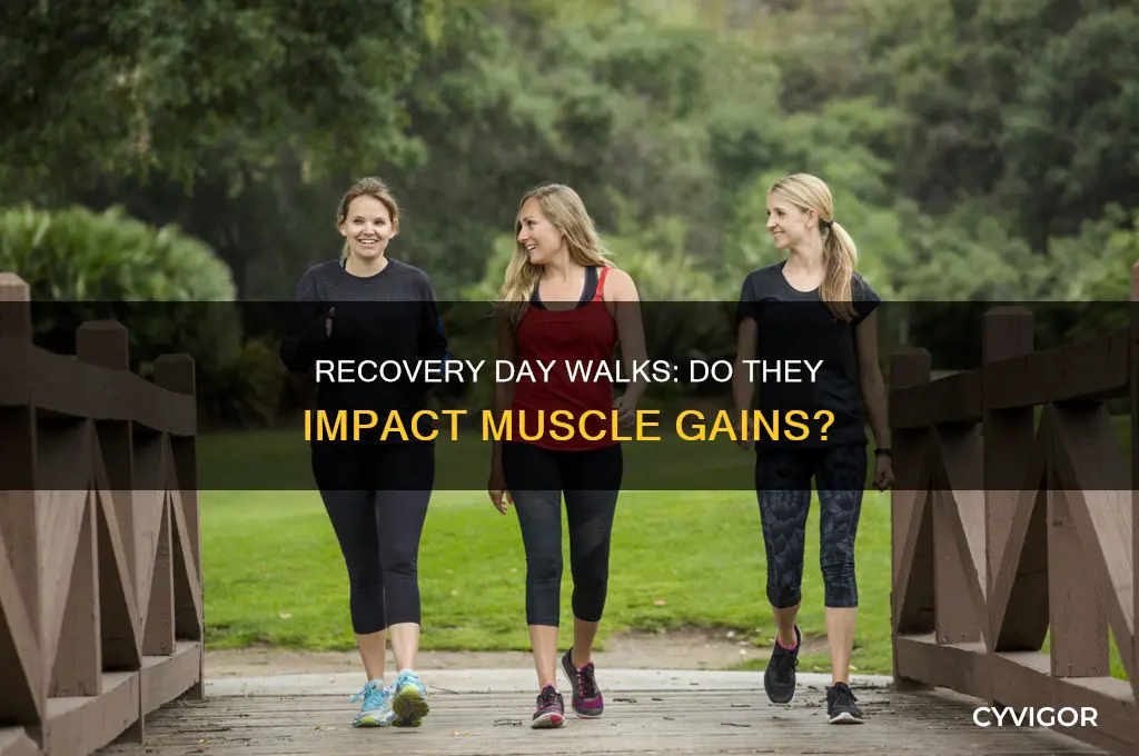 will a walk on recovery day ruin my muscle gains