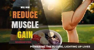 Acai and Muscle Gain: Separating Fact from Fiction in Fitness