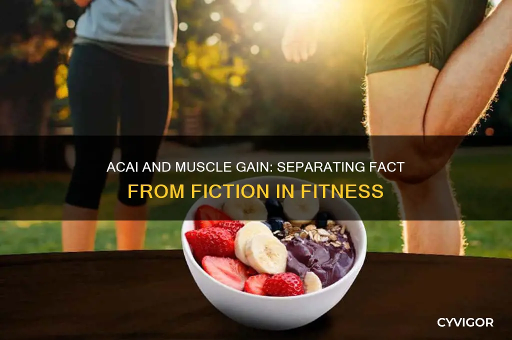 will acai reduce muscle gain