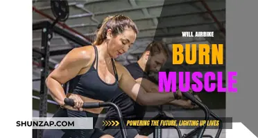 Airbike Workouts: Do They Burn Muscle?