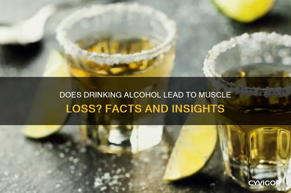 will alcohol cause muscle loss