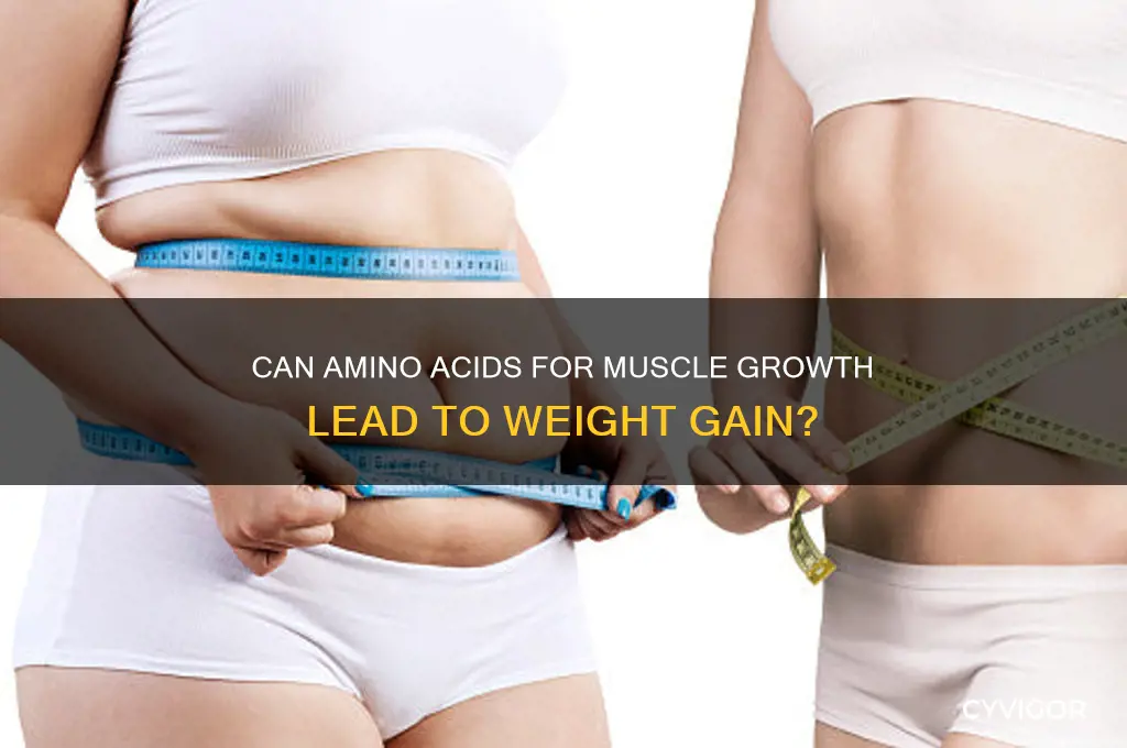 will amino acid for muscles make you gain weight