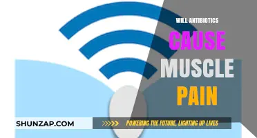 Antibiotics and Muscle Pain: Understanding the Potential Side Effects
