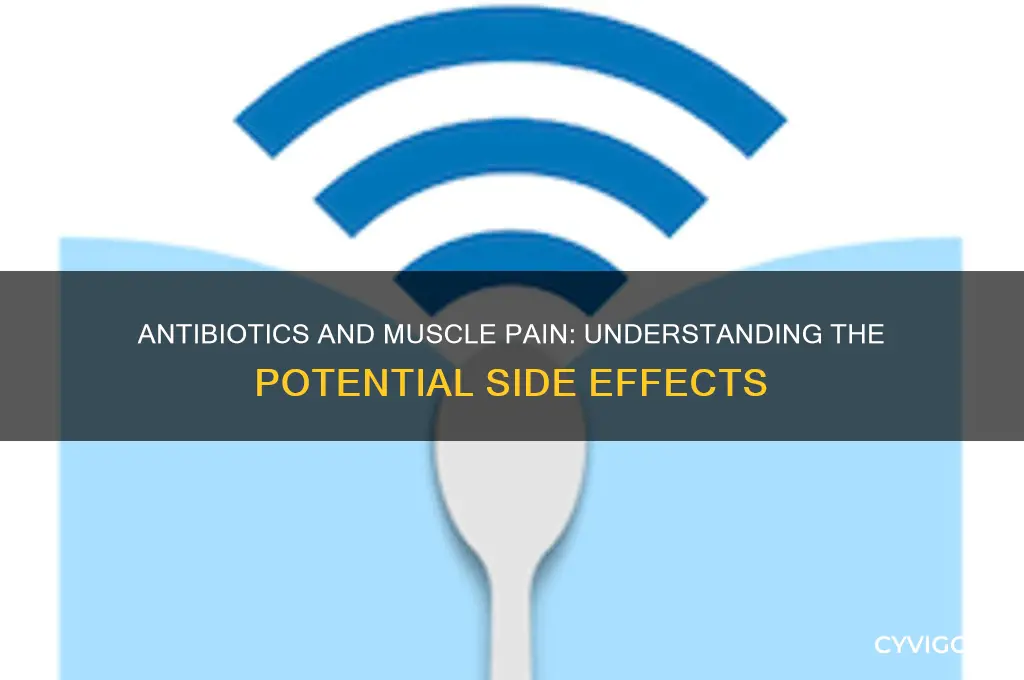 will antibiotics cause muscle pain