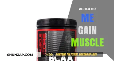 Can BCAA Supplements Boost Muscle Growth? Facts and Benefits Revealed