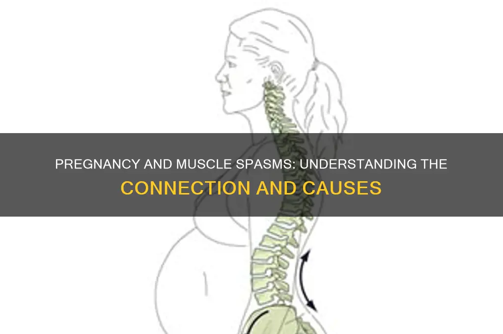 will being pregnant cause you to have muscle spasms