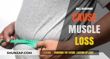 Berberine and Muscle Loss: Separating Fact from Fiction