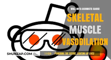 Beta Agonists and Skeletal Muscle Vasodilation: Unraveling the Connection