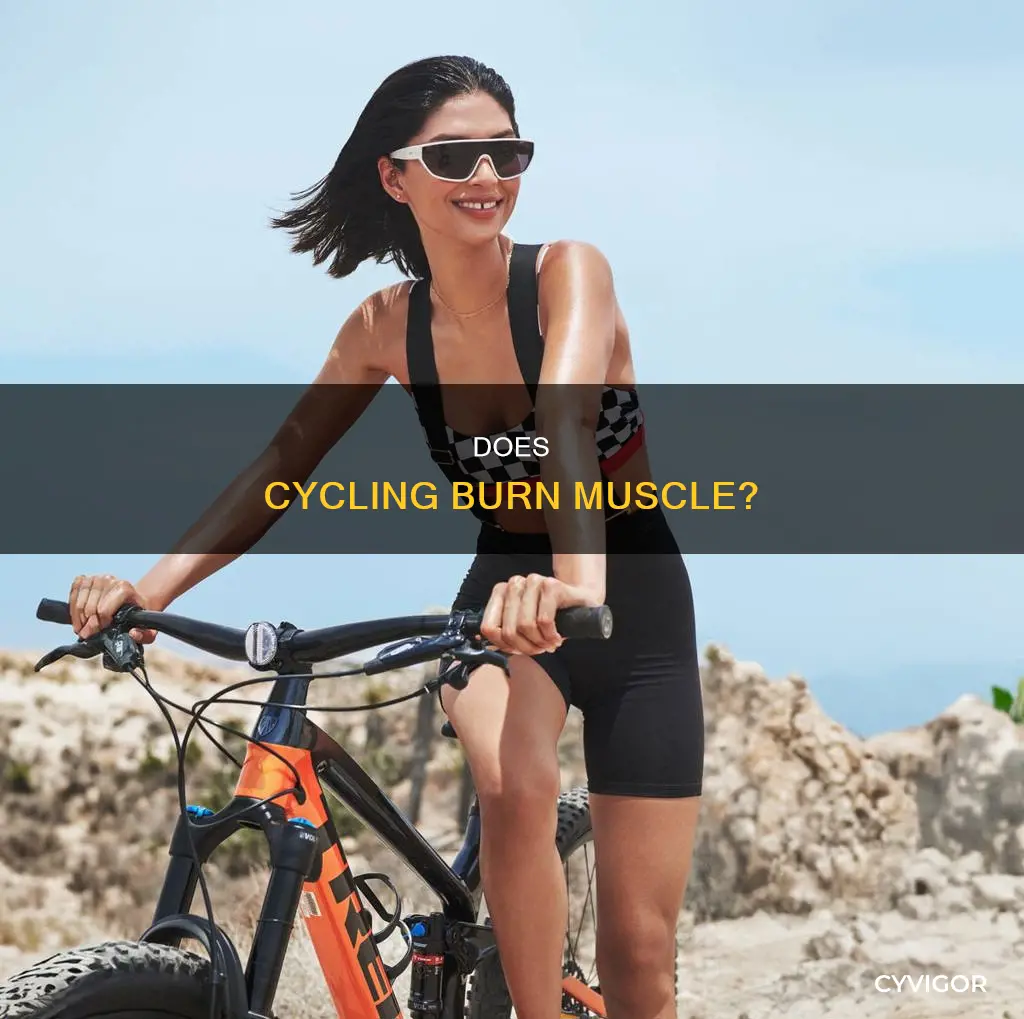 will bike riding burn muscle