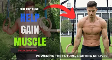Can Bodyweight Exercises Effectively Build Muscle Mass? Expert Insights