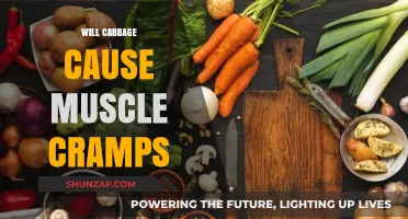Does Cabbage Consumption Lead to Muscle Cramps? Unraveling the Truth