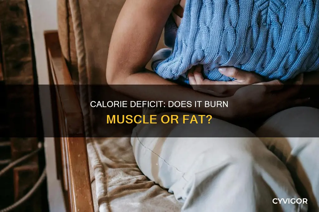 will calorie deficit burn muscle
