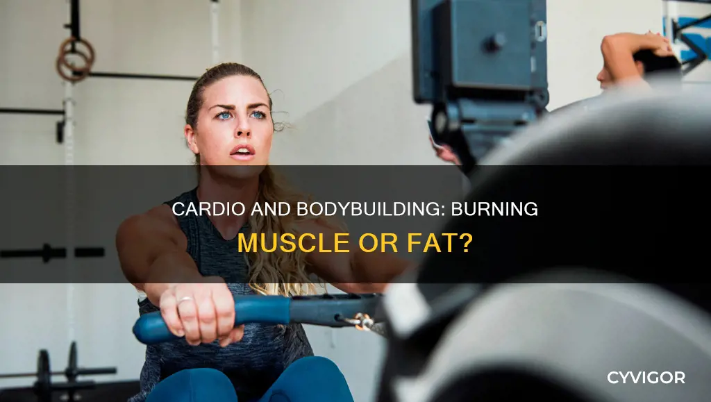 will cardio burn muscle bodybuilding