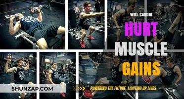 Cardio and Muscle Gains: Debunking Myths for Optimal Fitness