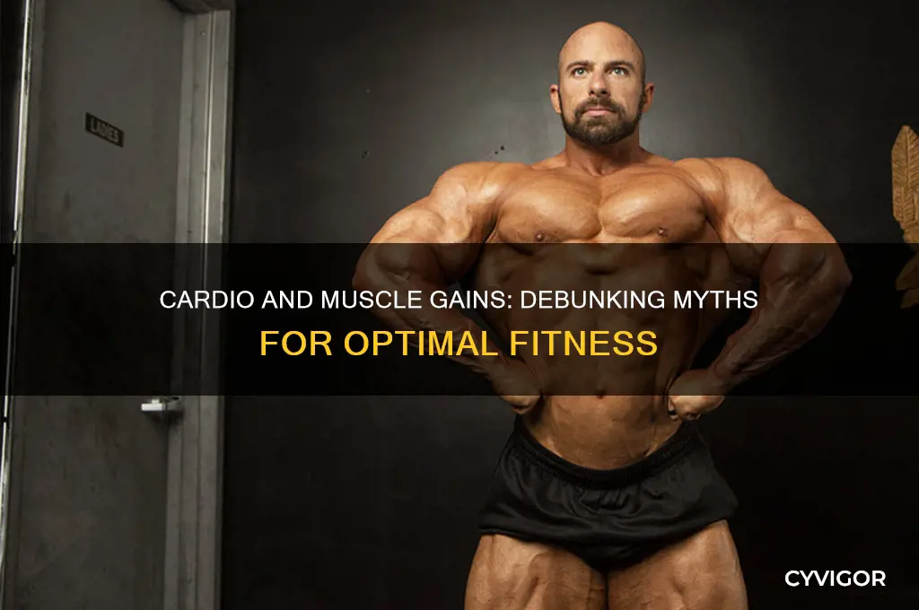 will cardio hurt muscle gains