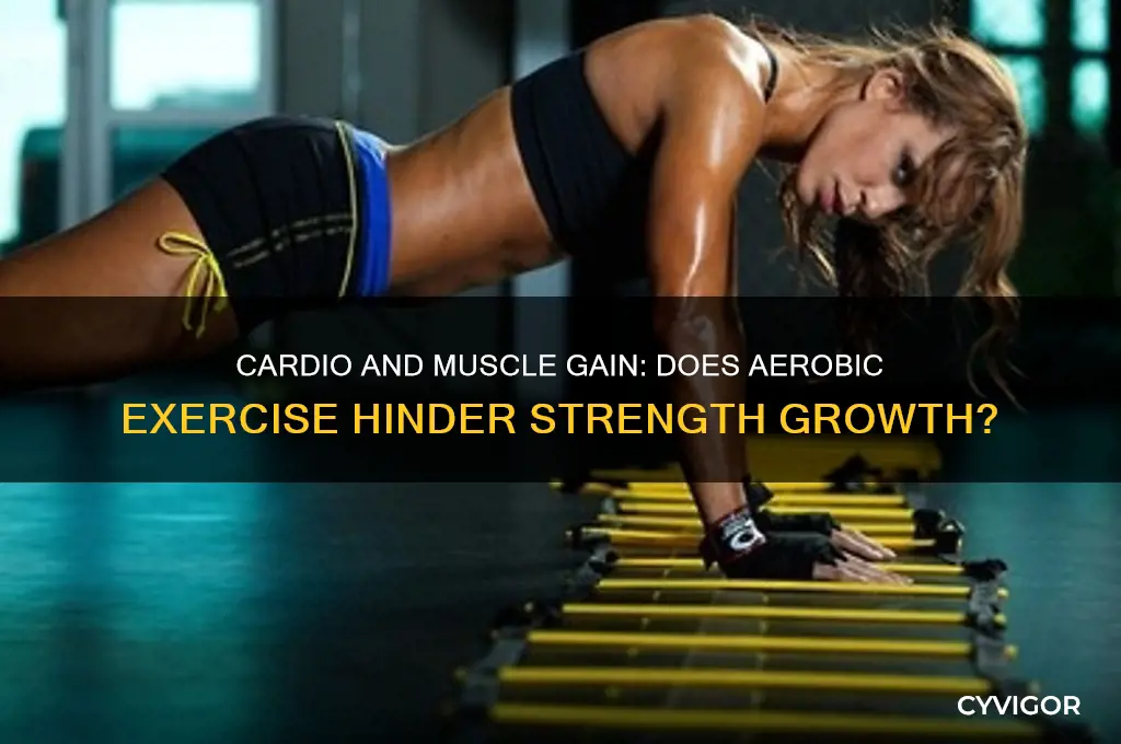 will cardio keep me from gaining muscle