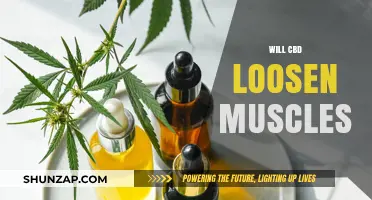 CBD Muscle Relaxation: Does It Work?