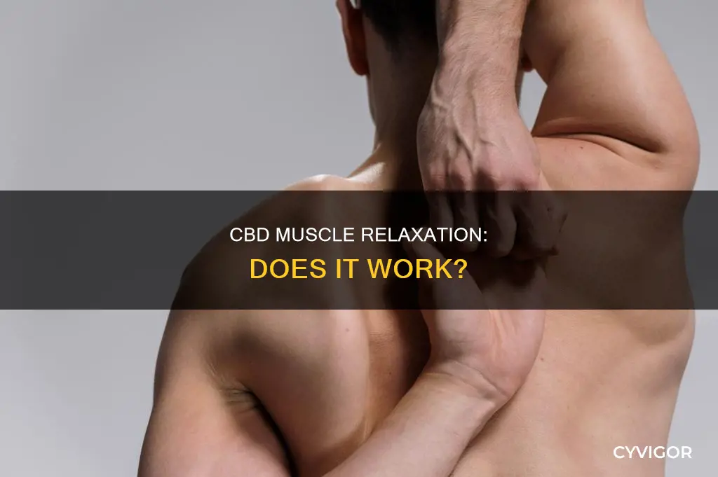 will cbd loosen muscles