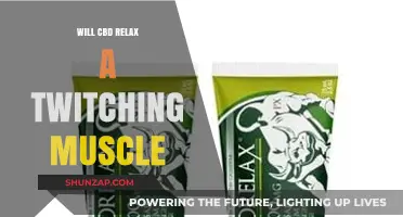 Can CBD Calm Twitching Muscles? Exploring Its Relaxation Potential