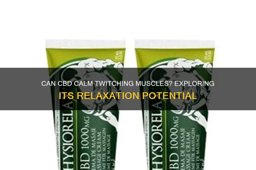 will cbd relax a twitching muscle