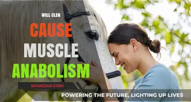 Does Clenbuterol Promote Muscle Growth? Anabolic Effects Explained