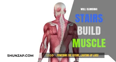 Elevate Your Fitness: The Surprising Benefits of Stair Climbing for Muscle Building