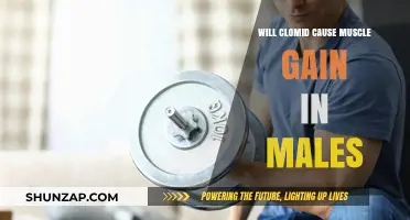 Can Clomid Boost Muscle Growth in Men? Exploring the Science