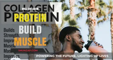 Unlocking Muscle Growth: The Role of Collagen Protein