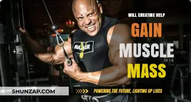 Can Creatine Boost Muscle Mass? Facts and Benefits Explained