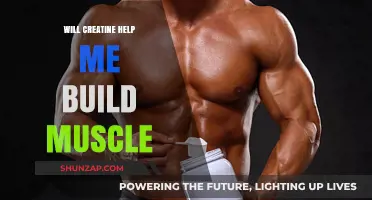 Unlocking Muscle Growth: The Power of Creatine Supplementation