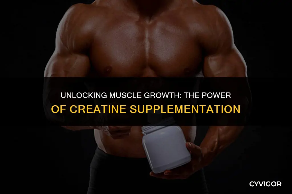 will creatine help me build muscle