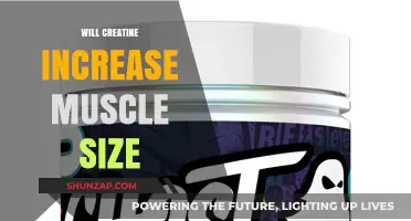 Creatine's Impact on Muscle Size: What You Need to Know