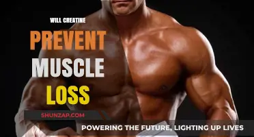 Creatine's Role in Preventing Muscle Loss
