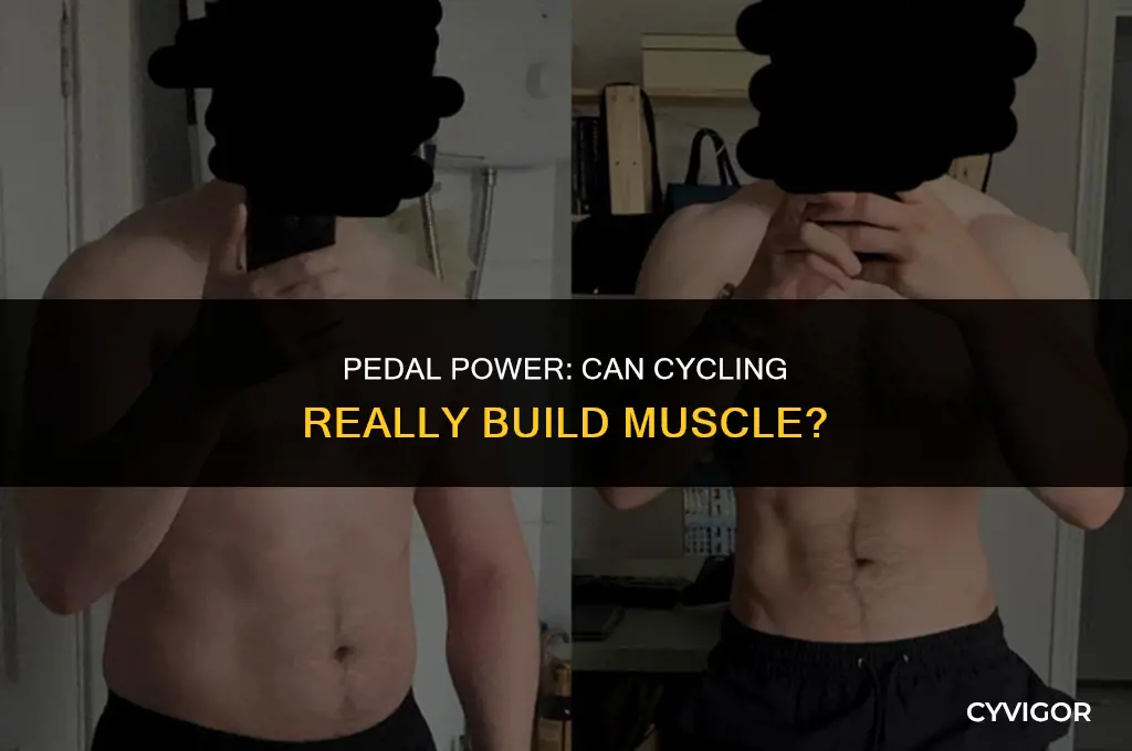 will cycling build muscle