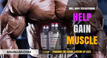 Can Depo Testosterone Boost Muscle Growth? Facts and Insights