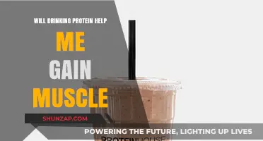 Does Drinking Protein Shakes Really Boost Muscle Gain?