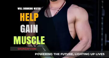 Hydration and Muscle Growth: Does Drinking Water Build Strength?
