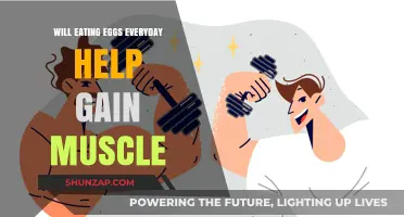 Daily Egg Consumption: A Muscle-Building Strategy or Myth?