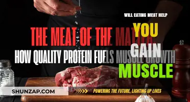 Does Eating Meat Boost Muscle Gain? Facts and Myths Explained