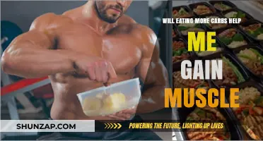 Carbs and Muscle Gain: How More Carbohydrates Fuel Growth